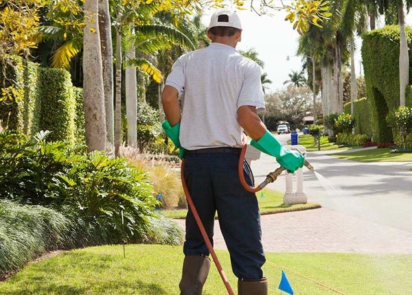 About Rocky River OH Pest Control